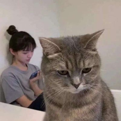 引用內容可能偽規暫時被隱藏