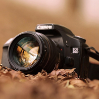 歸途我的夢王霏霏